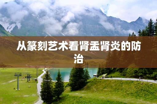从篆刻艺术看肾盂肾炎的防治
