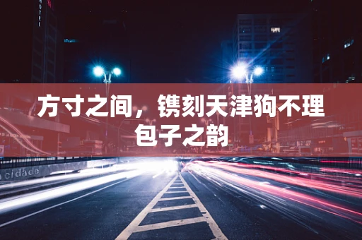 方寸之间，镌刻天津狗不理包子之韵