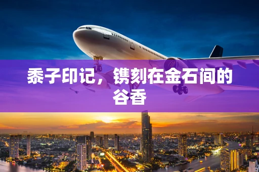 黍子印记，镌刻在金石间的谷香