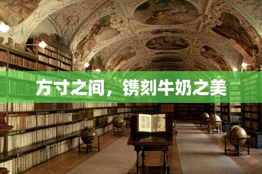 方寸之间，镌刻牛奶之美