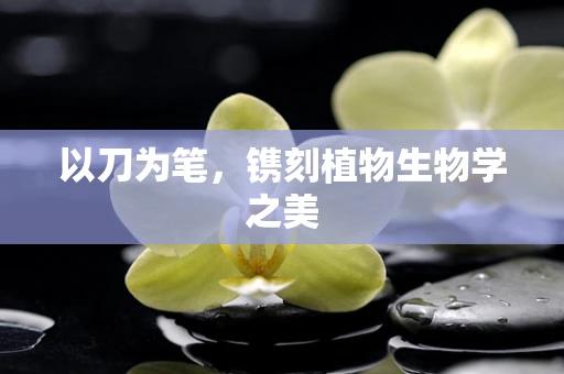 以刀为笔，镌刻植物生物学之美