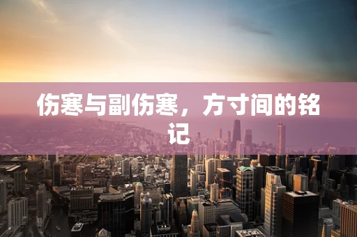 伤寒与副伤寒，方寸间的铭记