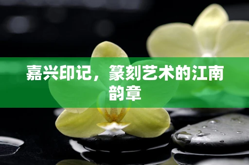 嘉兴印记，篆刻艺术的江南韵章