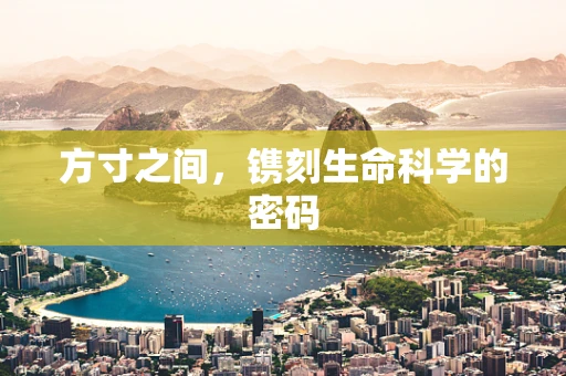 方寸之间，镌刻生命科学的密码