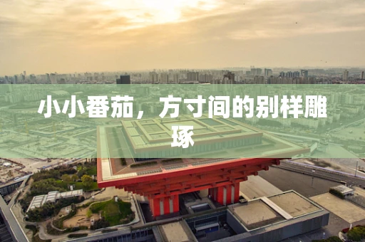 小小番茄，方寸间的别样雕琢