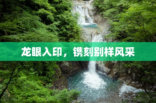 龙眼入印，镌刻别样风采