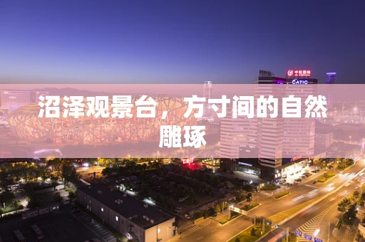 沼泽观景台，方寸间的自然雕琢