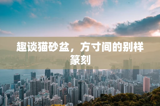 趣谈猫砂盆，方寸间的别样篆刻