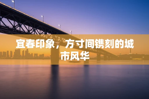 宜春印象，方寸间镌刻的城市风华