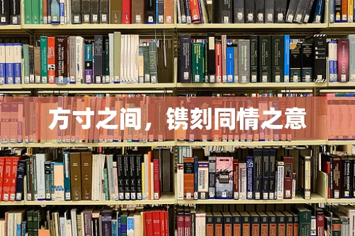 方寸之间，镌刻同情之意