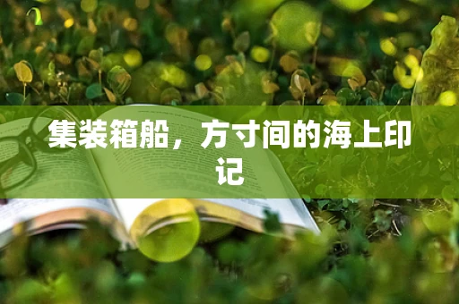 集装箱船，方寸间的海上印记