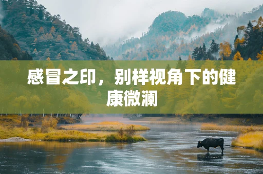 感冒之印，别样视角下的健康微澜