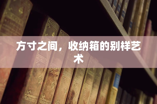 方寸之间，收纳箱的别样艺术