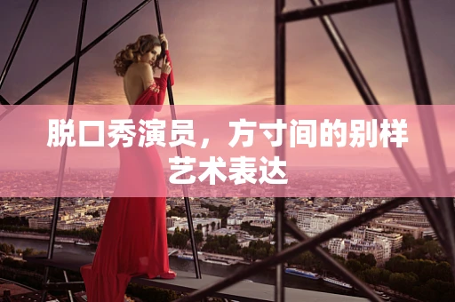 脱口秀演员，方寸间的别样艺术表达