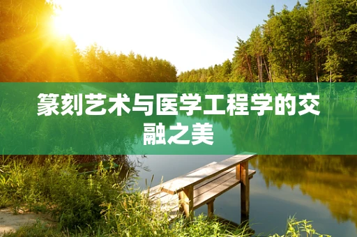 篆刻艺术与医学工程学的交融之美