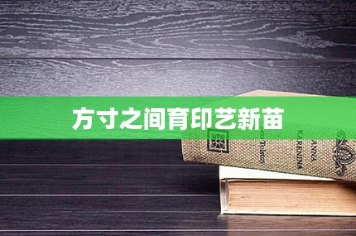 方寸之间育印艺新苗
