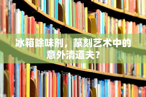 冰箱除味剂，篆刻艺术中的意外清道夫？