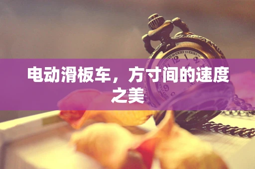 电动滑板车，方寸间的速度之美
