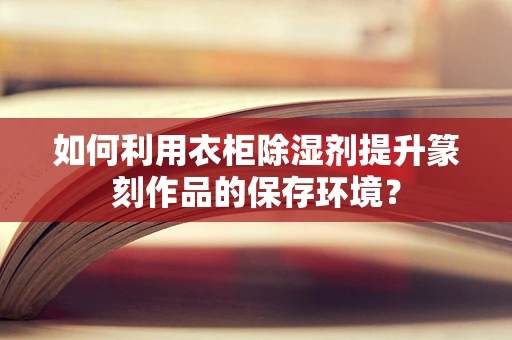 如何利用衣柜除湿剂提升篆刻作品的保存环境？