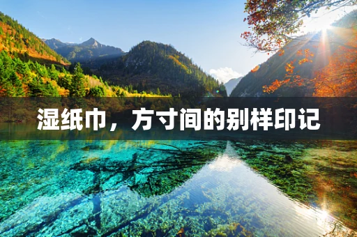 湿纸巾，方寸间的别样印记