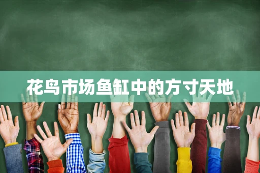 花鸟市场鱼缸中的方寸天地