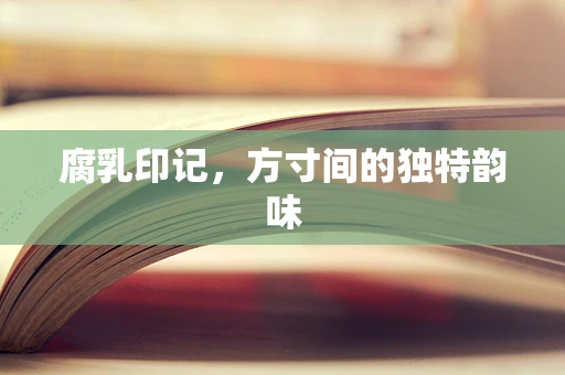 腐乳印记，方寸间的独特韵味